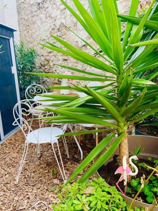 Havre De Paix Avec Jardin Et Clim En Centre Ville De Sète Zewnętrze zdjęcie